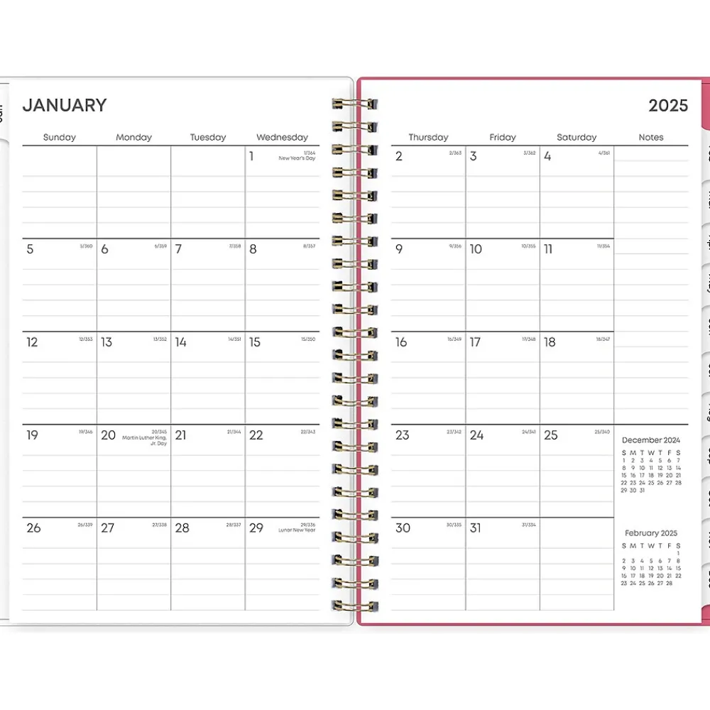 2025 Planners|Blue Sky 2025 Amalia 5" x 8" Weekly & Monthly Planner, Plastic Cover, Multicolor (148768-25)