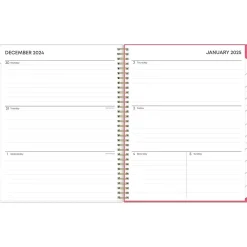 2025 Planners|Blue Sky 2025 Amalia 8.5" x 11" Weekly & Monthly Planner, Plastic Cover, Multicolor (148767-25)