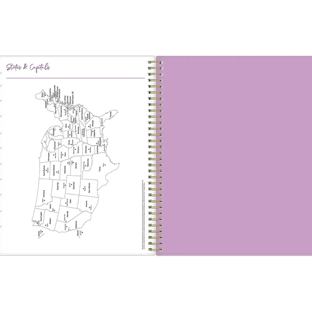 2025 Planners|Blue Sky 2025 Britt Mills Citrus Sunrise 8.5" x 11" Weekly & Monthly Planner, Plastic Cover, Multicolor (148026)