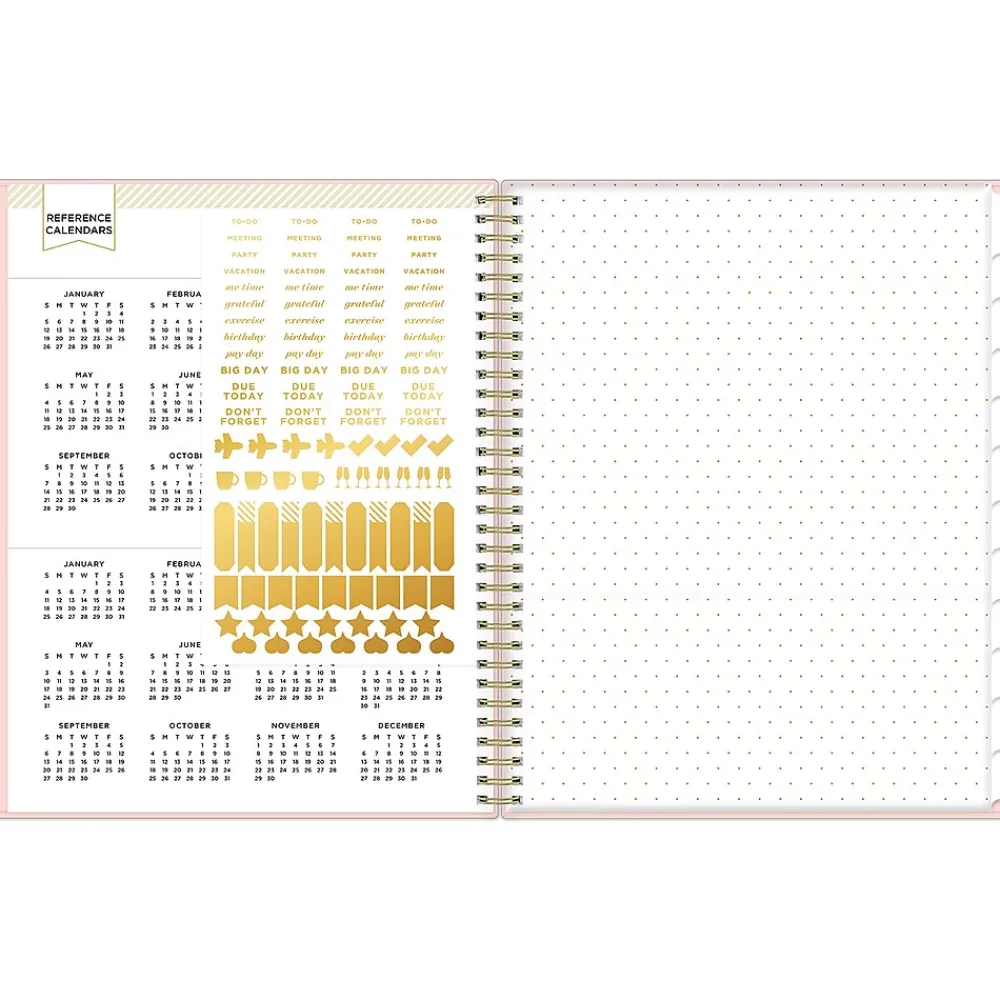 2025 Planners|Blue Sky 2025 Day Designer 8.5" x 11" Weekly Planner, Plastic Cover, Blush (148146)