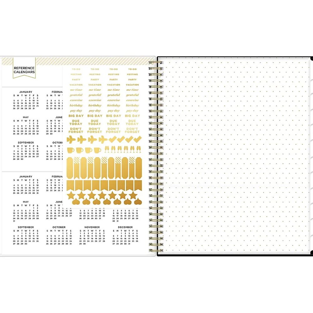 2025 Planners|Blue Sky 2025 Day Designer Austen 8.5" x 11" Weekly Planner, Plastic Cover, Multicolor (148128)