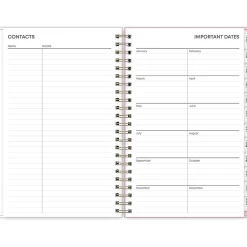 2025 Planners|Blue Sky 2025 Wednesday Stripe 5