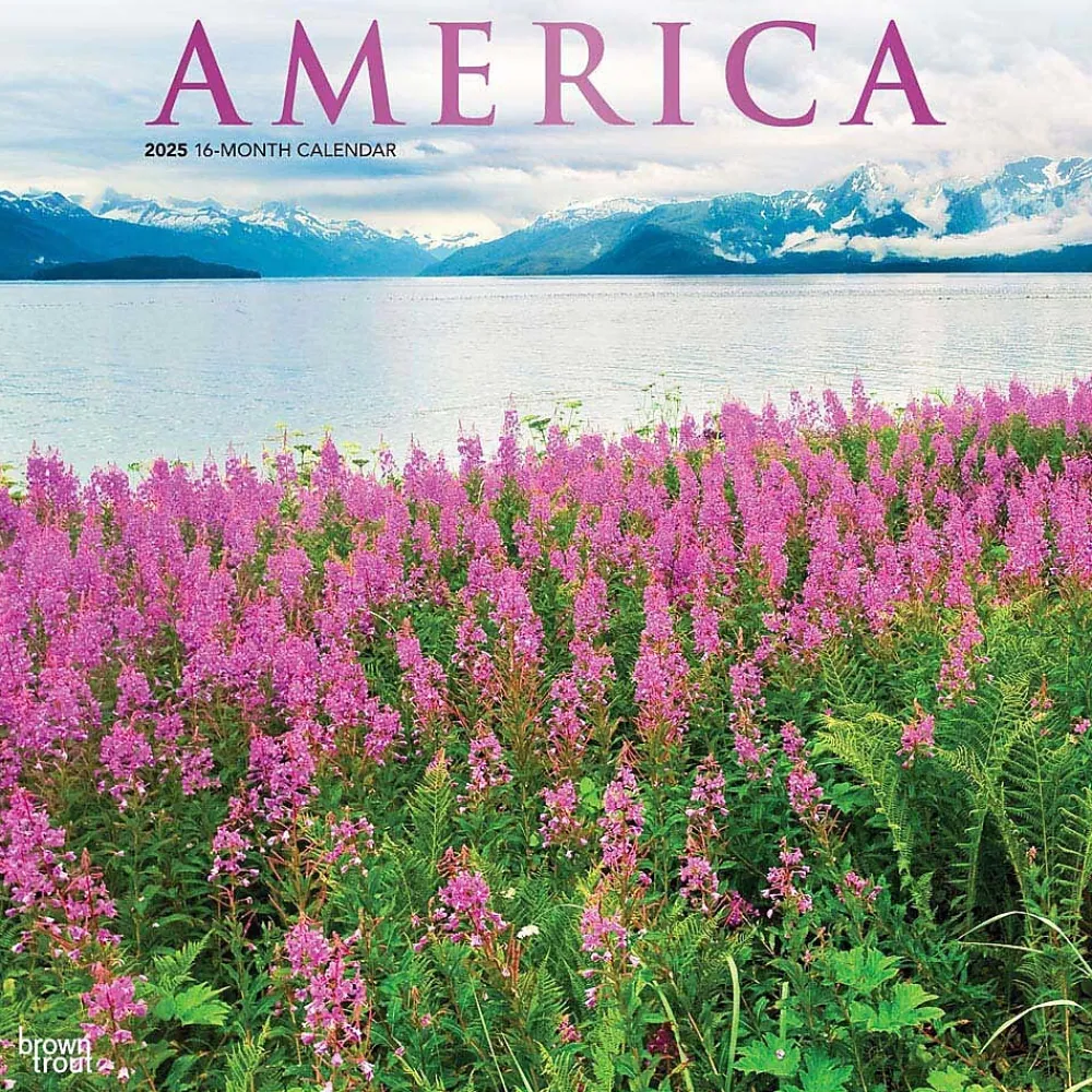 2025 Calendars|BrownTrout 2025 America 12" x 12" Monthly Square Wall Calendar (9781975474447)