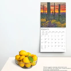 2025 Calendars|BrownTrout 2025 America 12