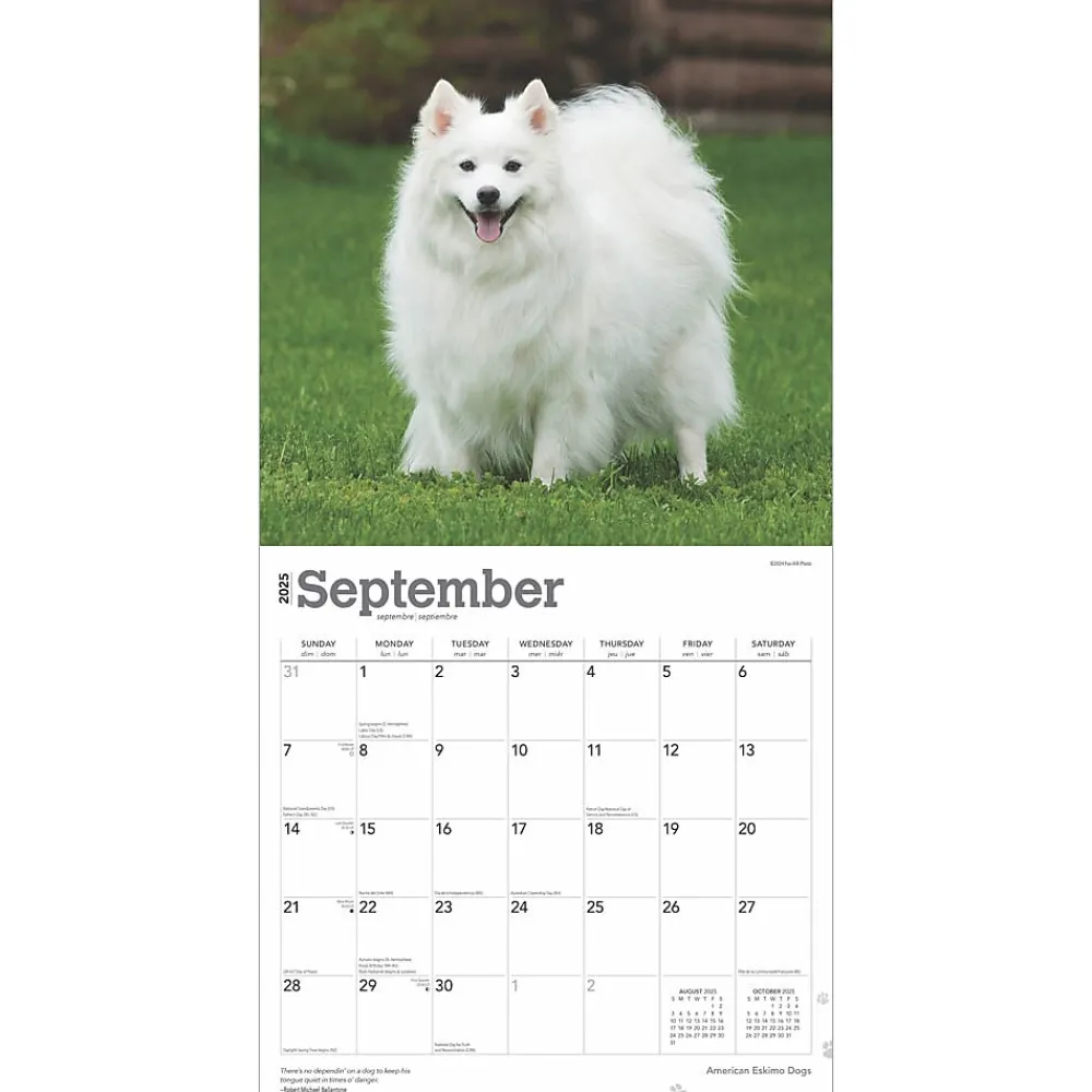 2025 Calendars|BrownTrout 2025 American Eskimo Dogs 12" x 24" Monthly Square Wall Calendar (9781975476496)