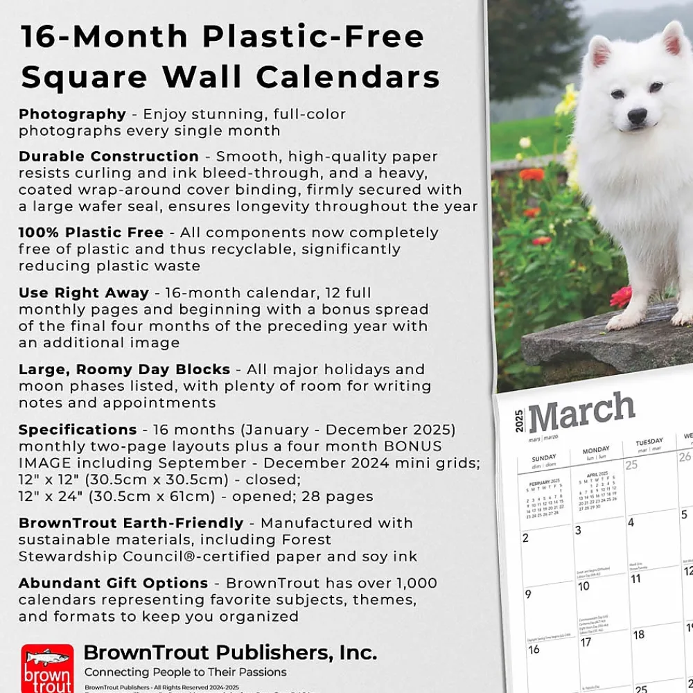 2025 Calendars|BrownTrout 2025 American Eskimo Dogs 12" x 24" Monthly Square Wall Calendar (9781975476496)