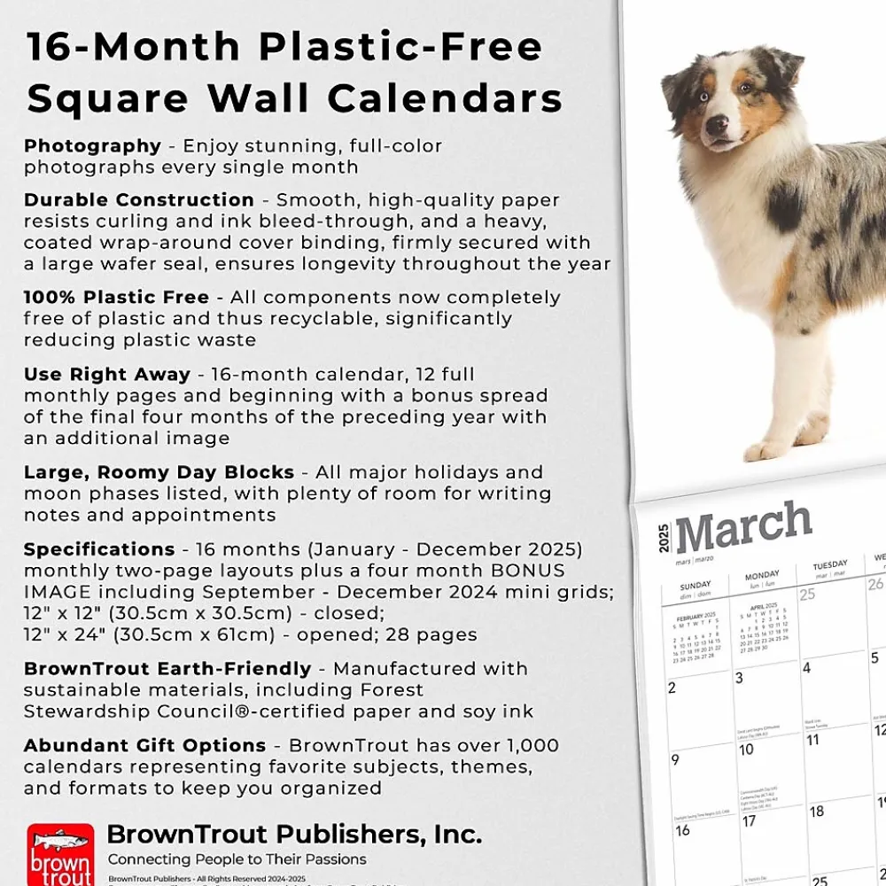 2025 Calendars|BrownTrout 2025 Australian Shepherds 12" x 12" Monthly Wall Calendar (9781975476557)