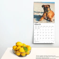 2025 Calendars|BrownTrout 2025 Boxers International Edition 12