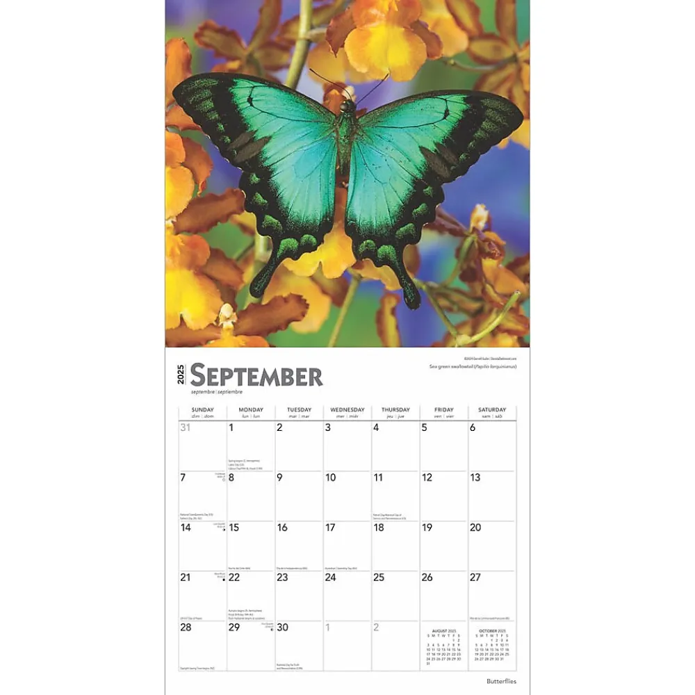 2025 Calendars|BrownTrout 2025 Butterflies 12" x 12" Monthly Wall Calendar (9781975476762)