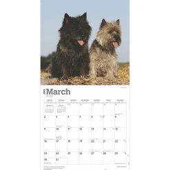 2025 Calendars|BrownTrout 2025 Cairn Terriers 12