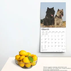 2025 Calendars|BrownTrout 2025 Cairn Terriers 12