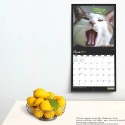 2025 Calendars|BrownTrout 2025 Cat Selfies 12