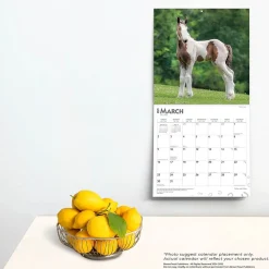 2025 Calendars|BrownTrout 2025 Colts and Fillies 12