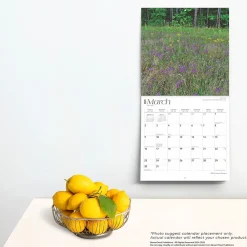 2025 Calendars|BrownTrout 2025 Georgia Wild & Scenic 12