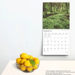 2025 Calendars|BrownTrout 2025 Great Smokies 12