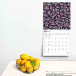 2025 Calendars|BrownTrout 2025 Innerspace 12