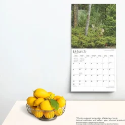 2025 Calendars|BrownTrout 2025 Montana Wild & Scenic 12