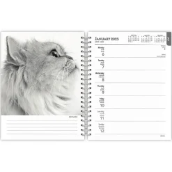 2025 Planners|BrownTrout 2025 Portrait Series: The Regal Cat 6