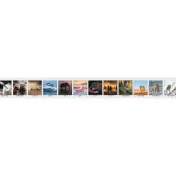 2025 Calendars|House of Doolittle 2025 Earthscapes Wildlife 8.5