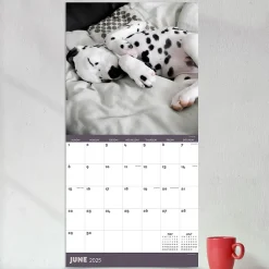 2025 Calendars|TF Publishing 2025 12