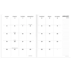 2025 Planners|TF Publishing 2025 6.5" x 8" Monthly Planner, Paperboard Cover, This is Bananas (25-4216)