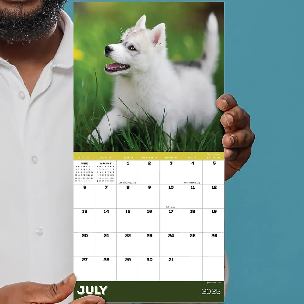 2025 Calendars|TF Publishing 2025 Puppies 7" x 7" Monthly Wall Calendar (25-2007)