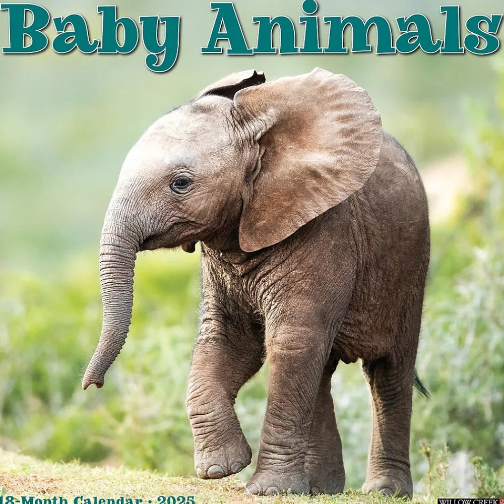2025 Calendars|Willow Creek 2025 Baby Animals 12" x 12" Monthly Wall Calendar (41529)
