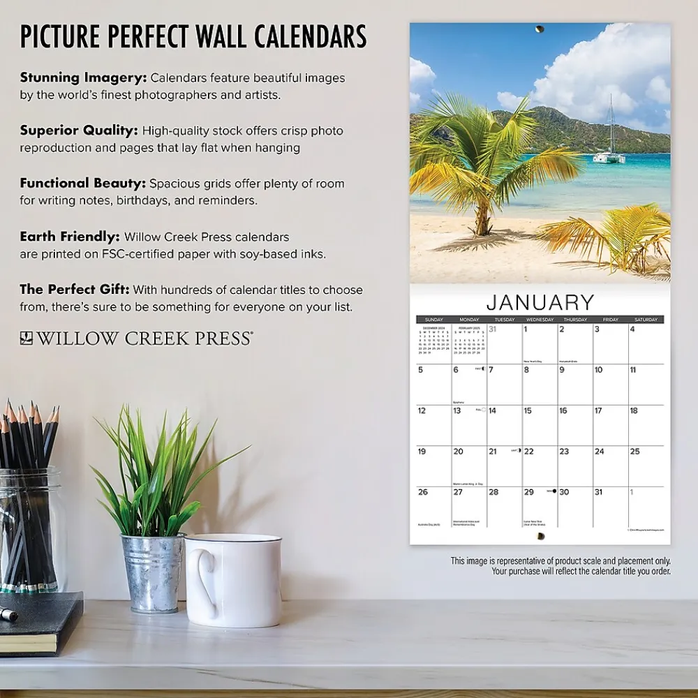 2025 Calendars|Willow Creek 2025 Basset Hound Puppies 12" x 12" Yearly Wall Calendar (41598)