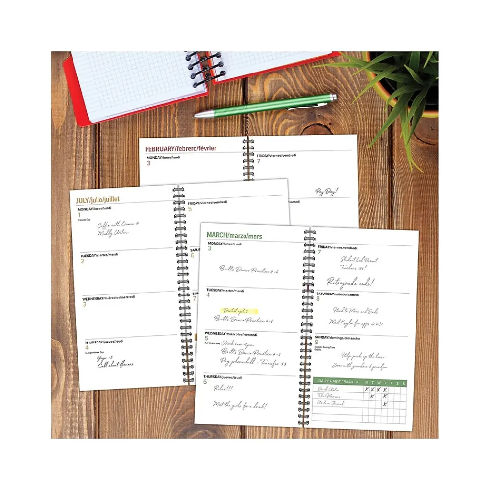 Academic Planners|Willow Creek 2024-2025 Honeybee 3.5" x 6.5" Academic Weekly & Monthly Planner, Paper Cover, Multicolor (47705)