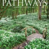 2025 Calendars|Willow Creek 2025 Pathways 12" x 12" Monthly Wall Calendar (44384)