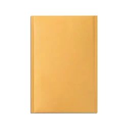 Clearance Staples 4.63" x 6.75" Self-Sealing Bubble Mailer, #000, 25/Carton (ST56655B)