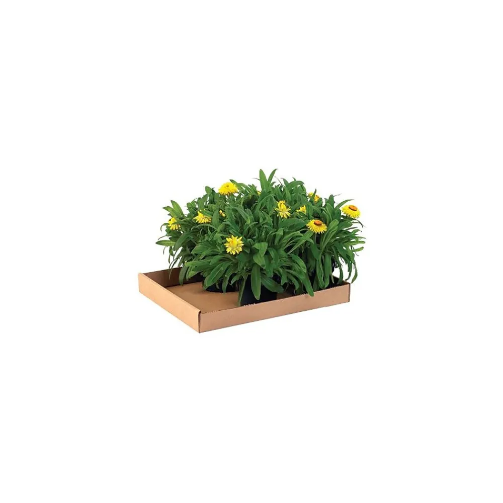 Hot Unbranded 24" x 12" x 1.75" Corrugated Trays, 32 ECT, White, 50/Bundle (24122CTW)