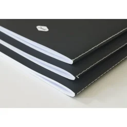 Journals|Denik : AMEYA'S REALM SKINNY LAYFLAT NOTEBOOK 3-PACK