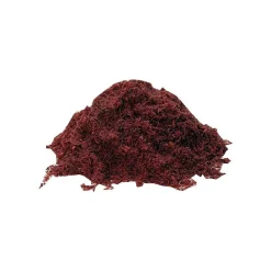 Anchor Brand Anchor Dirt and Dust Floor Sweeping Compound (103-FLOOR-SWEEP)