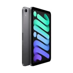 iPad mini 8.3