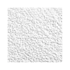 Armstrong ARMATUFF Lay-In Square Edge Ceiling Tile, 24" x 48", White, 8/Carton (BP860)