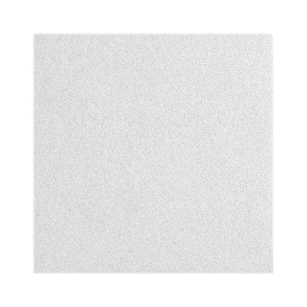 Armstrong CALLA Square Tegular Edge Ceiling Tile 15/16, 24" x 72", White, 6/Carton (BP2865)