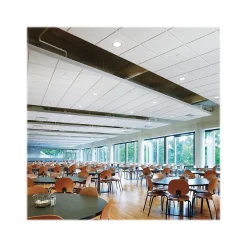 Armstrong CIRRUS High NRC Tegular Edge Ceiling Tile, 24" x 24", White, 10/Carton (BP558E)