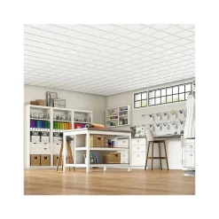 Armstrong CIRRUS Profiles Tegular Edge Ceiling Tile 15/16, 24" x 24", White, Dozen (BP628B)