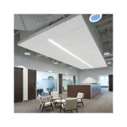 Armstrong CIRRUS Second Look Beveled Tegular Edge Ceiling Tile 15/16, 24" x 48", White, 6/Carton (BP513A)