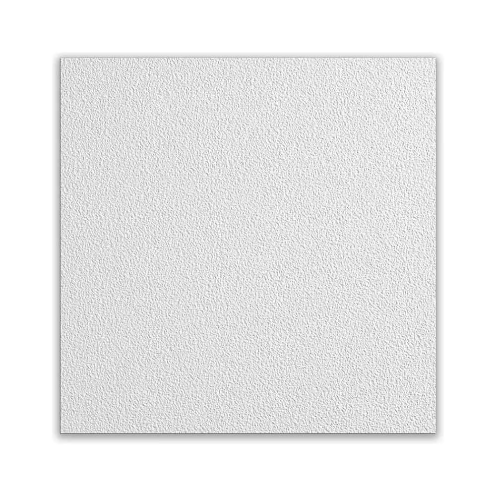 Armstrong CLEAN ROOM VL Square Lay-In Edge Ceiling Tile, 24" x 24", White, 12/Carton (BP868B)