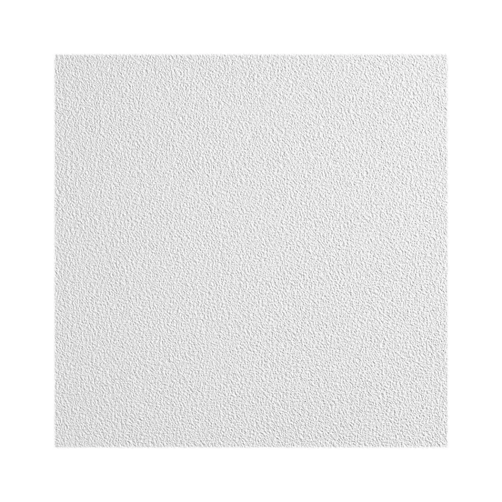 Armstrong CLEAN ROOM VL Square Lay-In Edge Ceiling Tile, 24" x 24", White, 12/Carton (BP868B)