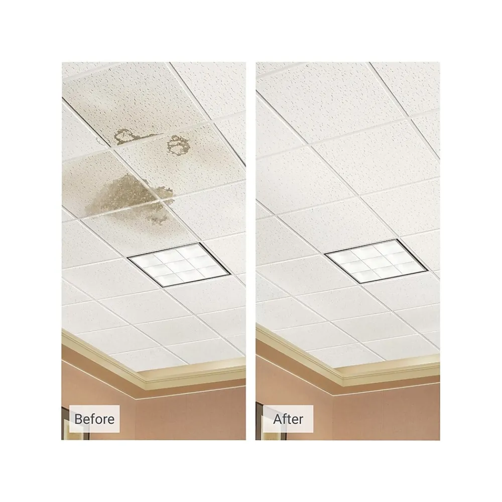 Armstrong CORTEGA Second Look Tegular Edge Ceiling Tile, 24" x 48", White, 10/Carton (BP2767D)