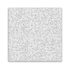 Armstrong CORTEGA Square Lay-In Edge Ceiling Tile, 24" x 24", White, 16/Carton (BP770)