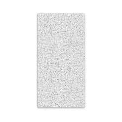 Armstrong CORTEGA Square Lay-In Edge Ceiling Tile, 24" x 48", White, 12/Carton (BP769A)