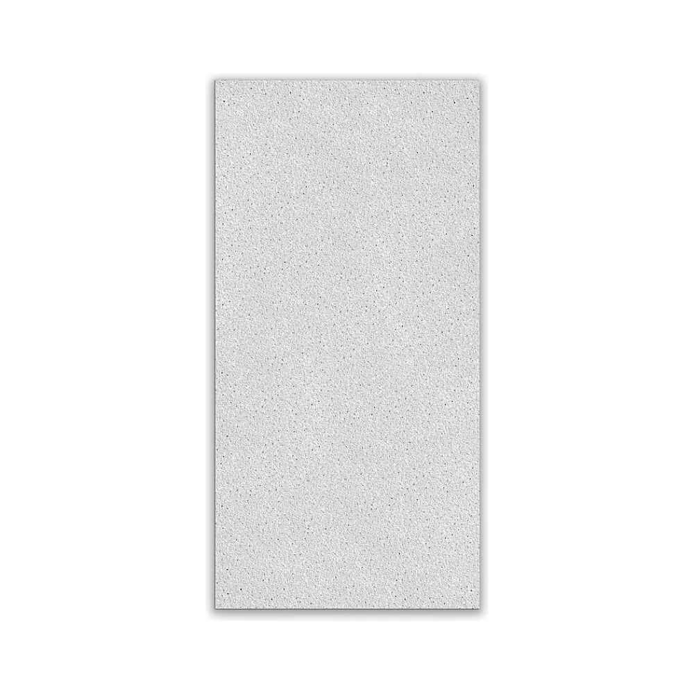 Armstrong DUNE Square Lay-In Edge Ceiling Tile, 24" x 48", White, 8/Carton (BP1773A)