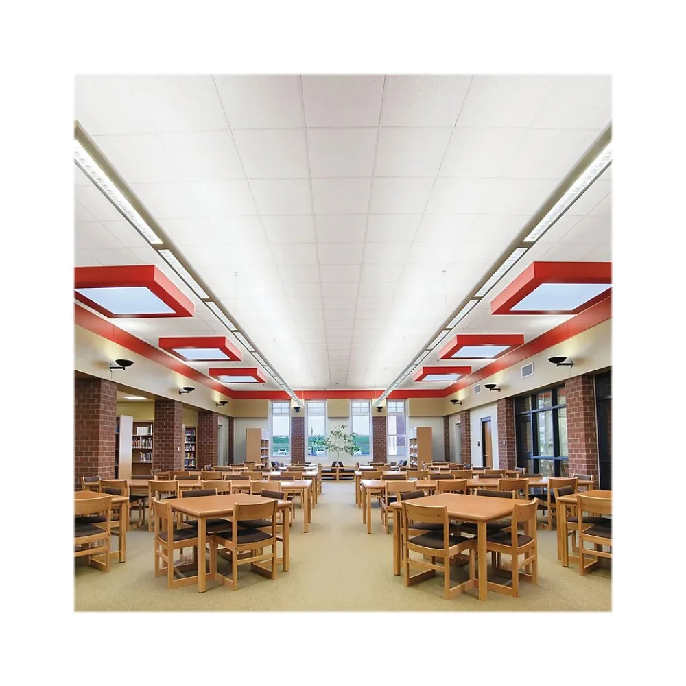 Armstrong FINE FISSURED Square Lay-In Edge Ceiling Tile 15/16, 24" x 48", White, 8/Carton (BP1830)