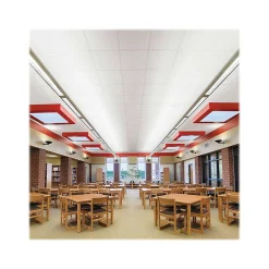 Armstrong FINE FISSURED Square Lay-In Edge Ceiling Tile, 24" x 24", Tech Black, 12/Carton (BP1713BL)