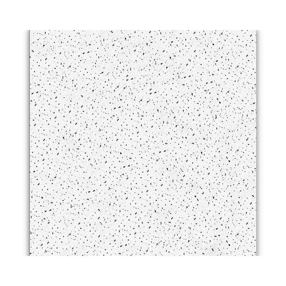 Armstrong FINE FISSURED Square Lay-In Edge Ceiling Tile, 24" x 24", White, 12/Carton (BP1713)