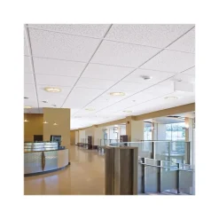 Armstrong FINE FISSURED Second Look I, Angled Tegular Edge Ceiling Tile 15/16, 24